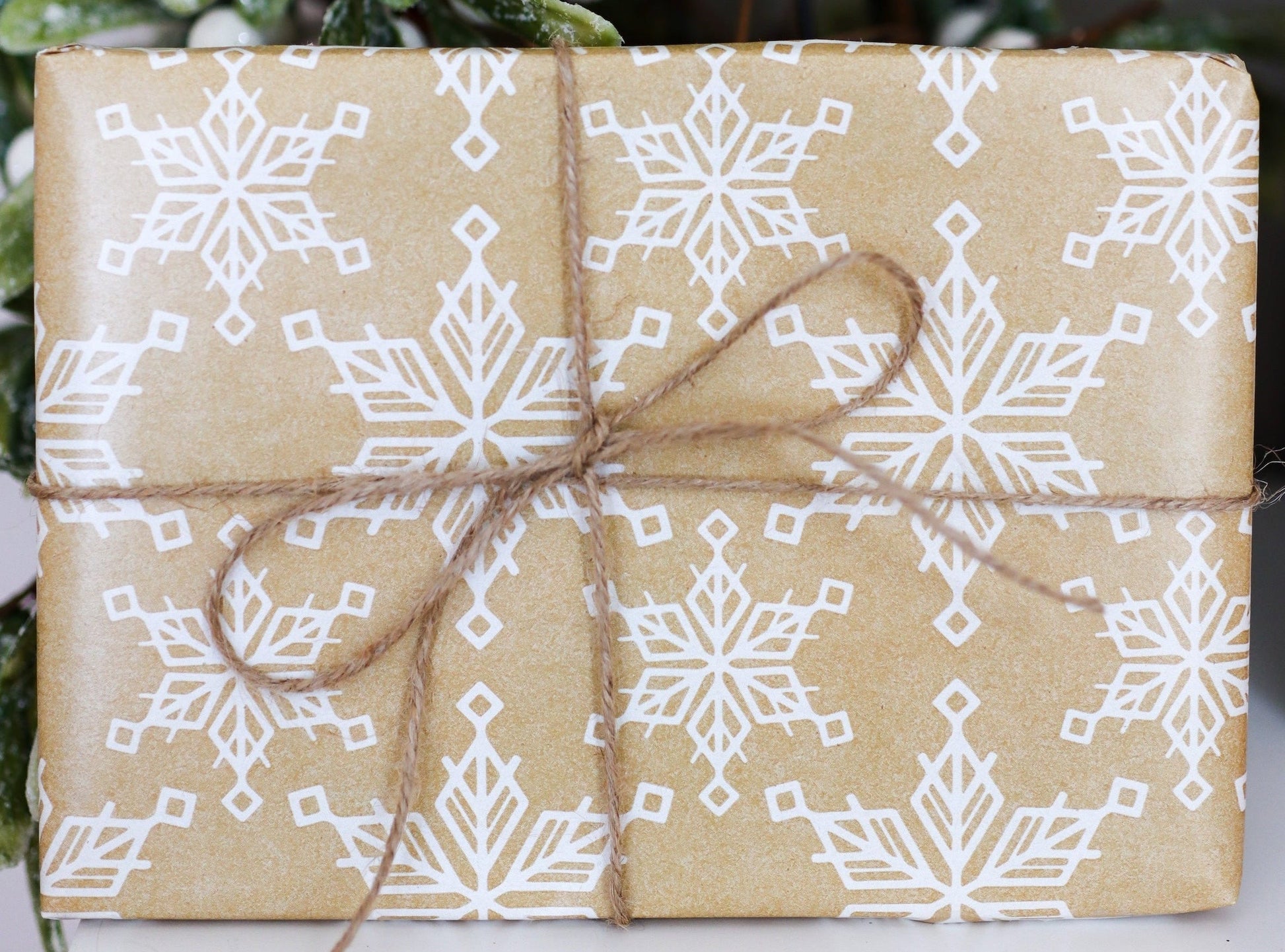 Gift box wrapped in brown paper with white snowflake pattern and tied with string, against a blurred greenery background.